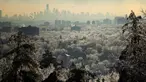 Pohon-pohon bersalju membentang di depan cakrawala Kota New York di West Orange, New Jersey (18/12/2019). Badai musim dingin membawa malapetaka ke New Jersey ketika es menyebabkan pemadaman listrik dan menumbangkan pohon di seluruh wilayah tersebut. (Rick Loomis/Getty Images/AFP)