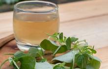 3 Resep Jamu Dari Rebusan Daun, Solusi Herbal untuk Menurunkan Kolesterol dan Mengatasi Tekanan Darah Tinggi