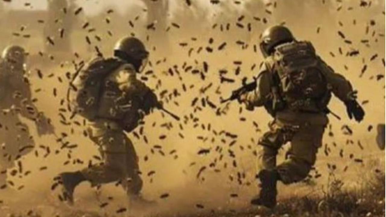 Saat Hewan pun Memusuhi Israel, ini Daftarnya Serang Tentara Zionis Hingga Terluka Parah