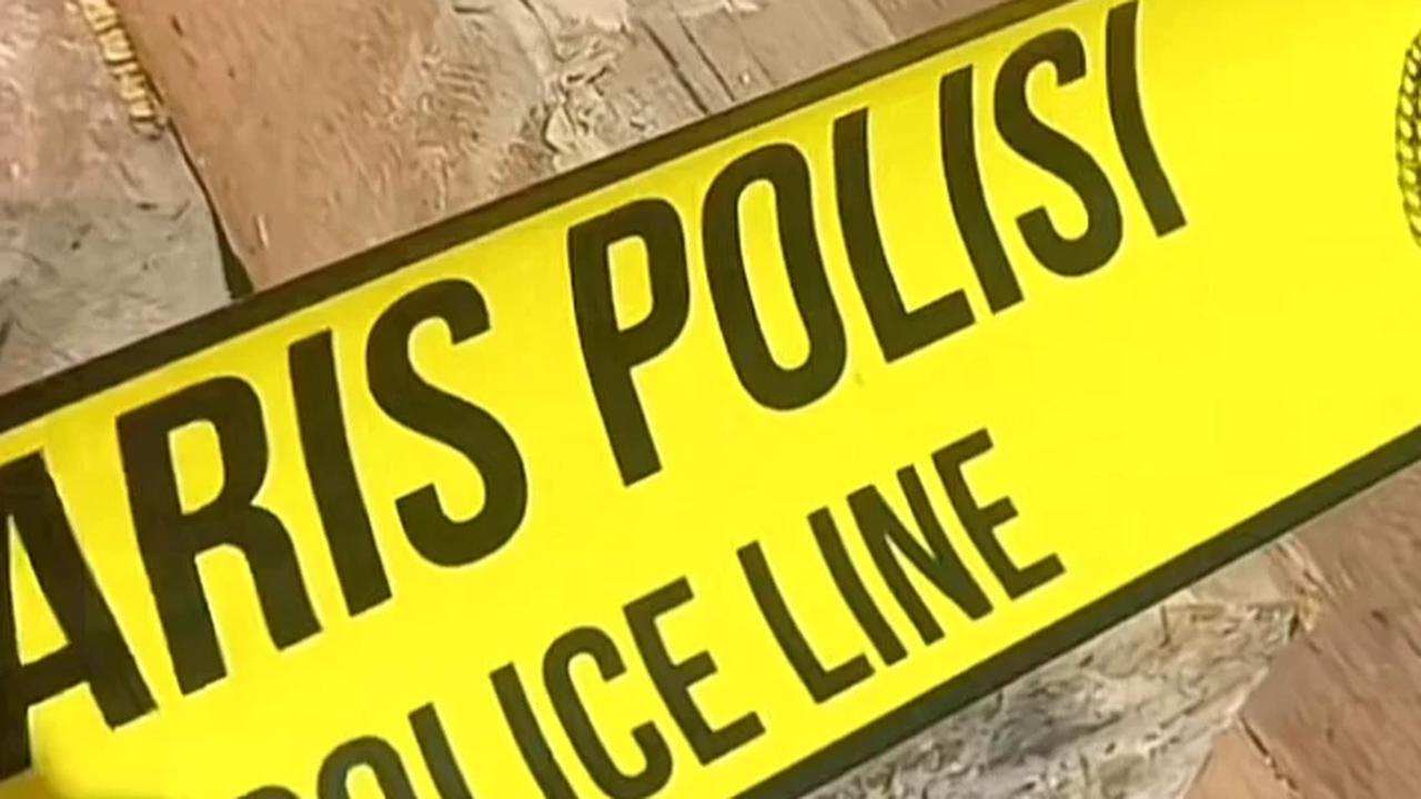Polisi Selidiki Kasus Ilegal Logging di Pesisir Barat Lampung