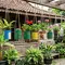 10 Ide Pot Tanaman Gantung dari Barang Bekas yang Mudah Dibuat, Hemat Biaya