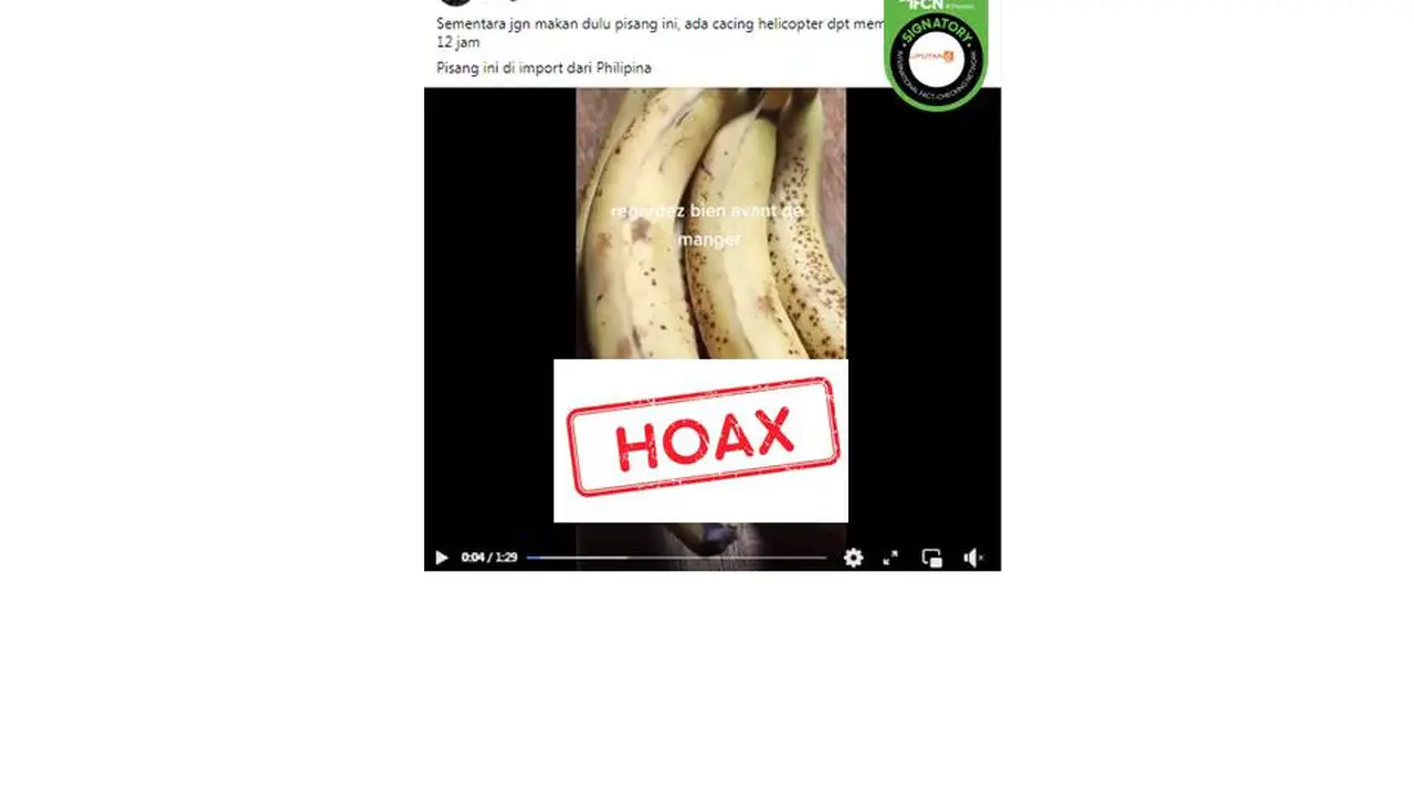 Cek Fakta pisang cacing