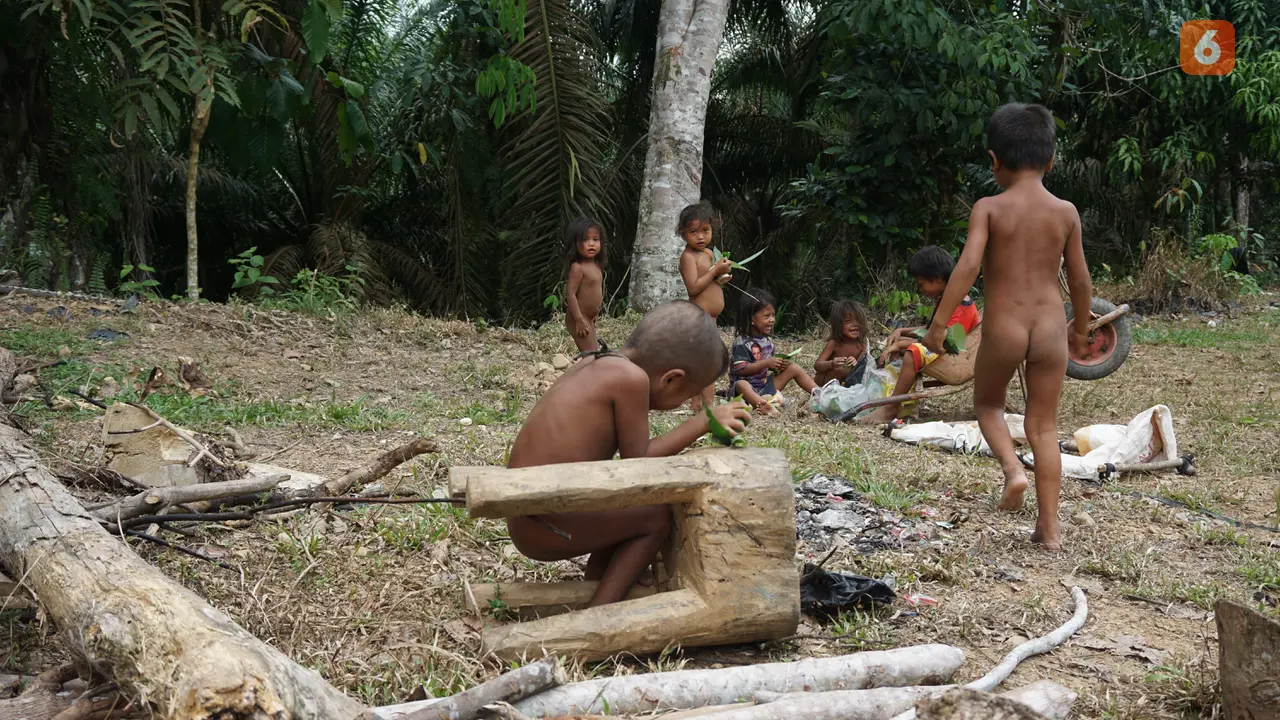 Orang Rimba Jambi