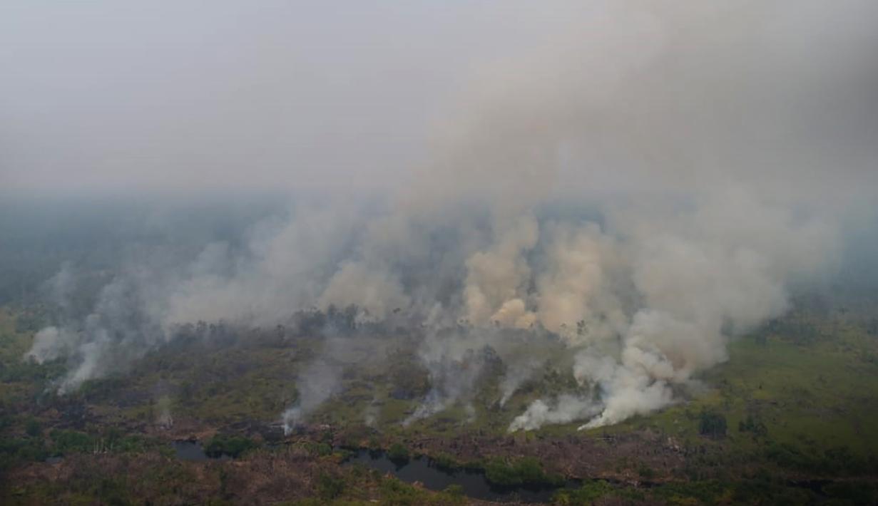 Gambar udara menunjukkan kebakaran gambut di dekat pusat rehabilitasi orangutan Nyaru Menteng, Kalimantan Tengah, Selasa (17/9/2019). Dekatnya lokasi sekolah hutan dengan titik kebakaran diduga menjadi penyebab belasan orangutan mengalami ISPA. (Handout/Borneo Orangutan Survival Foundation/AFP)
