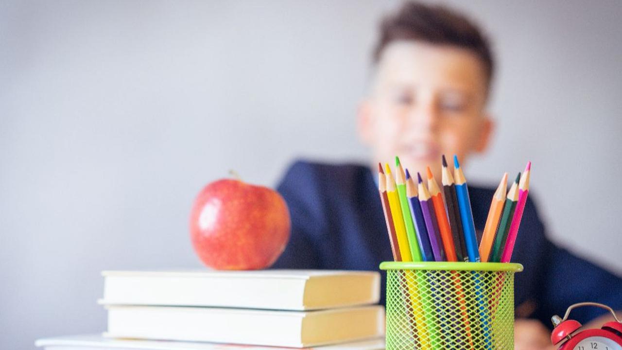 Ketahui Kelebihan dan Kekurangan Orangtua Memasukkan Anak ke Sekolah Kurikulum Montessori, Orangtua Perlu Tahu