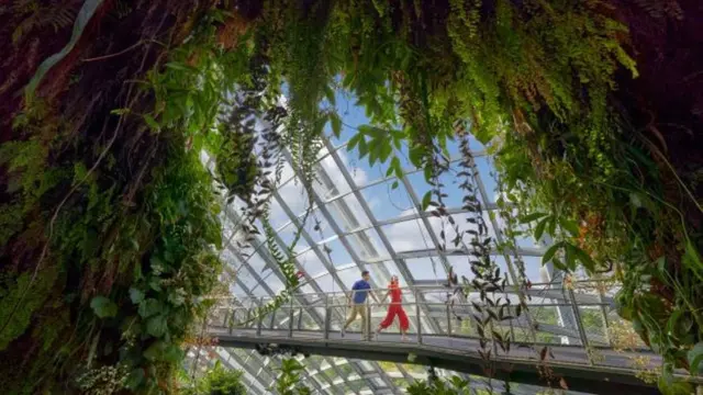 Gardens by the Bay Singapura