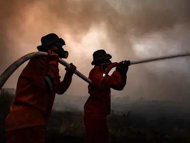 Petugas pemadam kebakaran berusaha memadamkan kebakaran lahan gambut di Palembang, Sumatera Selatan, Rabu (4/10/2023). Kabut tebal menyelimuti Palembang menyusul terjadinya lebih dari 300 kebakaran hutan dan lahan (Karhutla) di Sumatra Selatan. (Al ZULKIFLI/AFP)