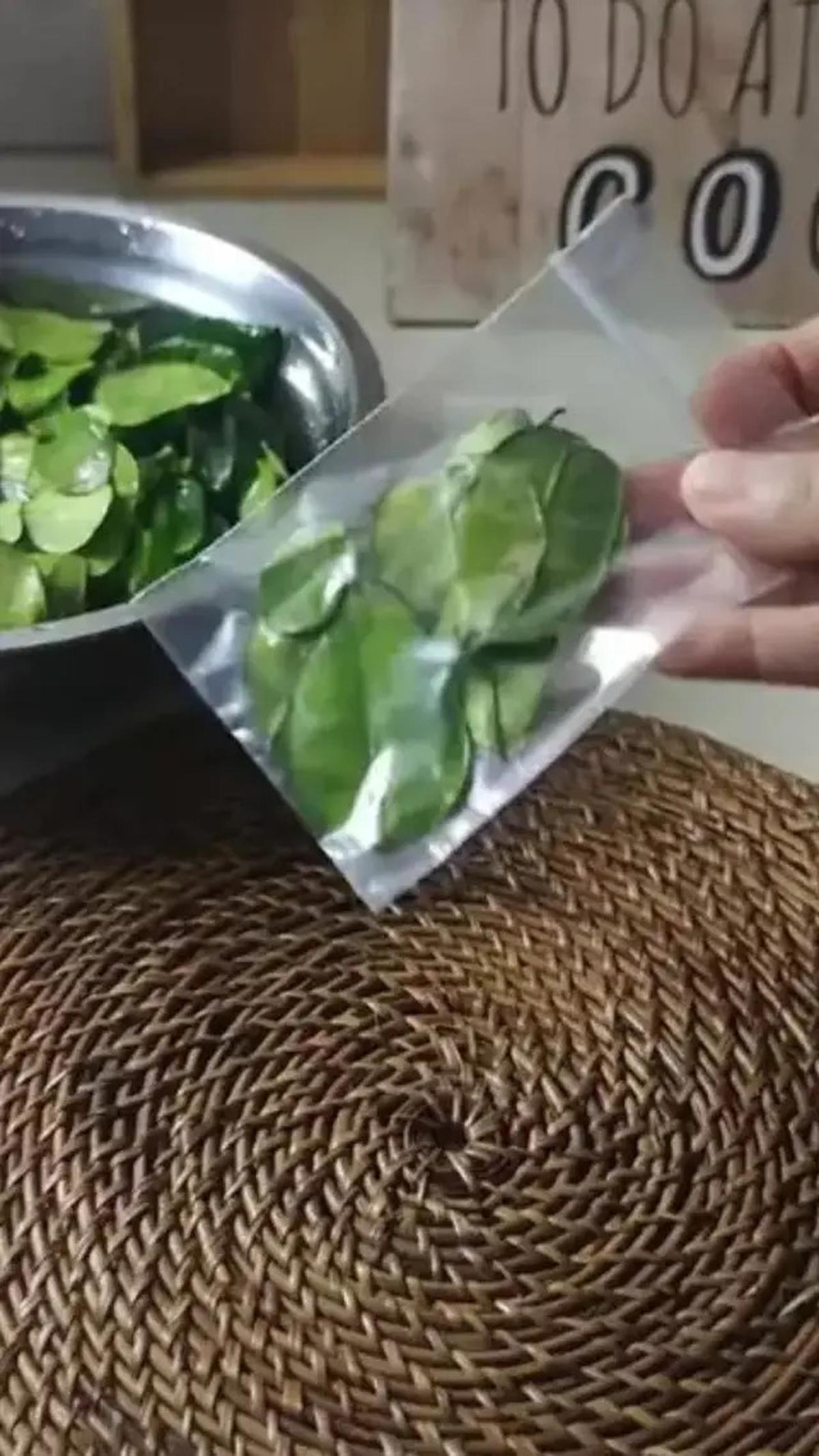 Cara Menyimpan Daun Jeruk Agar Tetap Segar dan Awet Hingga 3 Bulan