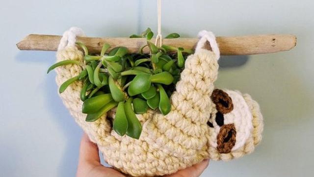 7 Pot Unik Anti Maintream Ini Bikin Tanaman Makin Hidup