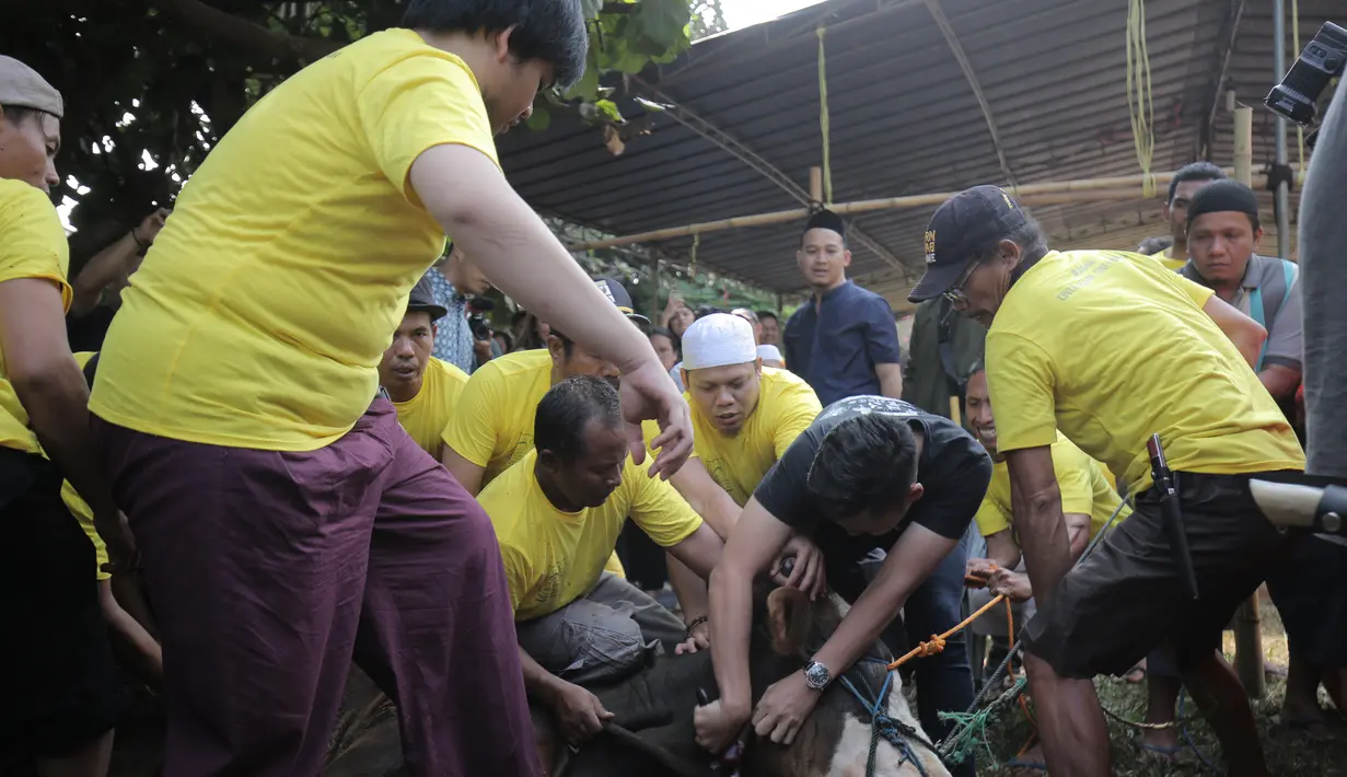 (Adrian Putra/Bintang.com)