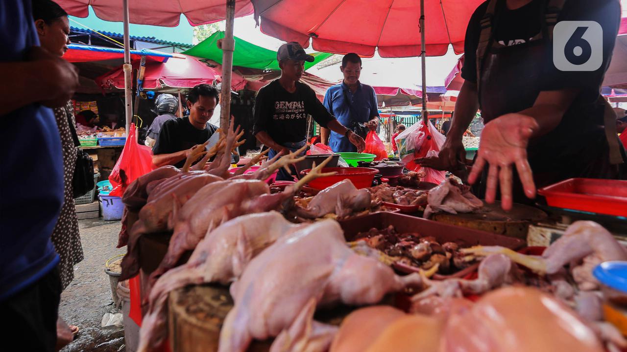 Harga Daging Ayam dan Telur Melonjak di Atas HET, Mendag Ungkap Fakta di Pasar