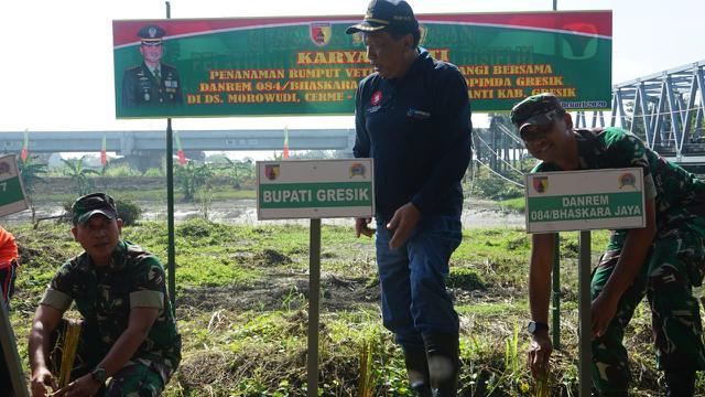 Penanaman Rumput Vetiver di Gresik