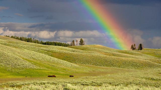 Ilustrasi puisi, pelangi