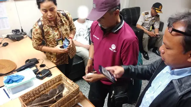 Turis Rusia bawa berang-berang dan kalajengking