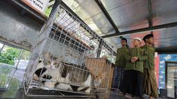 Pemerintah Kota Administrasi Jakarta Selatan melalui Suku Dinas Ketahanan Pangan, Kelautan, dan Pertanian (KPKP) menggelar program vaksinasi rabies gratis bagi hewan peliharaan seperti anjing dan kucing. (merdeka.com/Arie Basuki)
