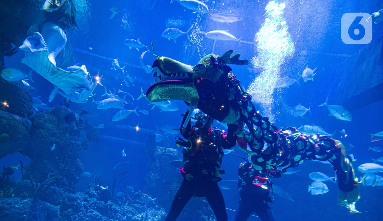Pemain Liong beraksi menghibur pengunjung di Jakarta Aquarium & Safari (JAQS), Jakarta Barat, Jumat (12/2/2021). Pertunjukan Liong Show bawah air yang diikuti oleh para putri duyung tersebut untuk memeriahkan Hari Raya Imlek 2572 atau Tahun Baru China. (Liputan6.com/Faizal Fanani)