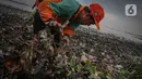 Petugas Suku Dinas Lingkungan Hidup Kabupaten Administrasi Kepulauan Seribu membersihkan sampah laut di muara Kanal Timur di Marunda Kepu, Cilincing, Jakarta, Kamis (8/6/2023). (Liputan6.com/Faizal Fanani)