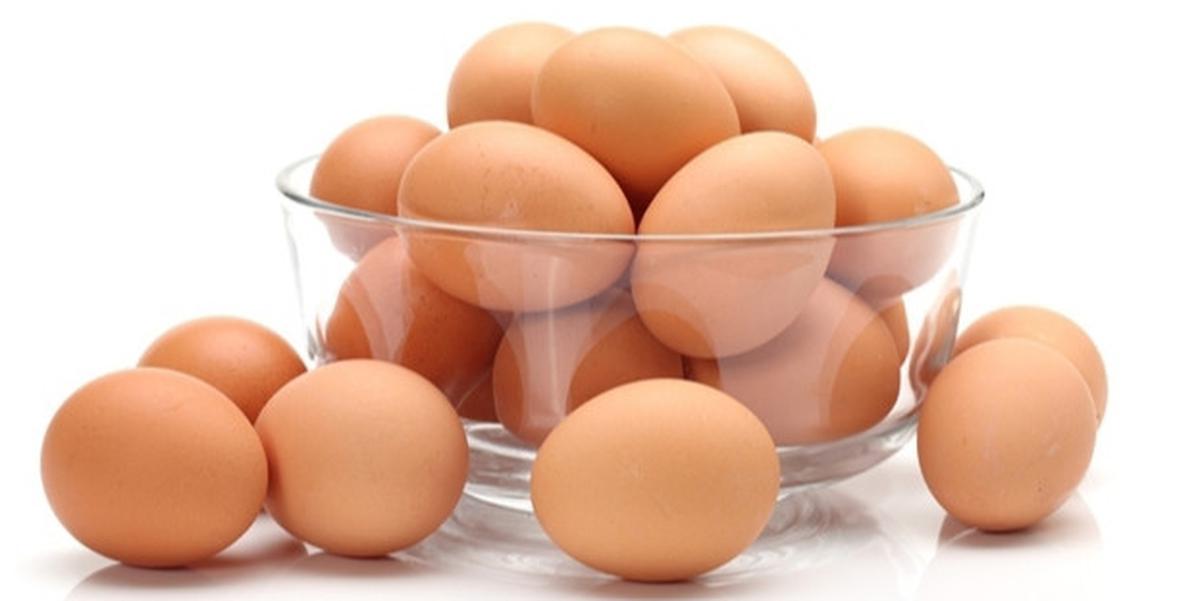 Ilustrasi telur ayam