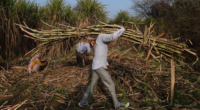 Mocha Nougat Cupcakes Kue Kering Makanan Dan Minuman Makanan