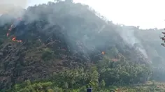 Kebakaran di Puncak Habibie Sukabumi Meluas, Ini Penyebabnya