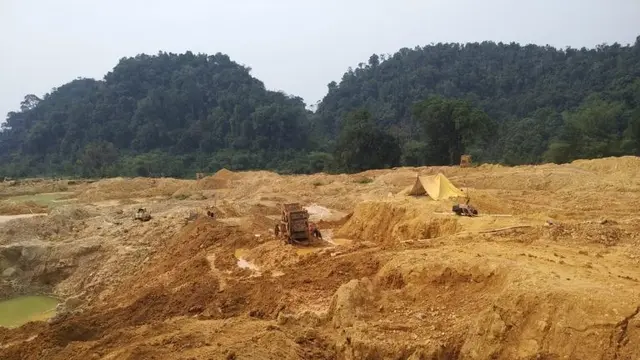 Hutan Desa Lubuk Bedorong
