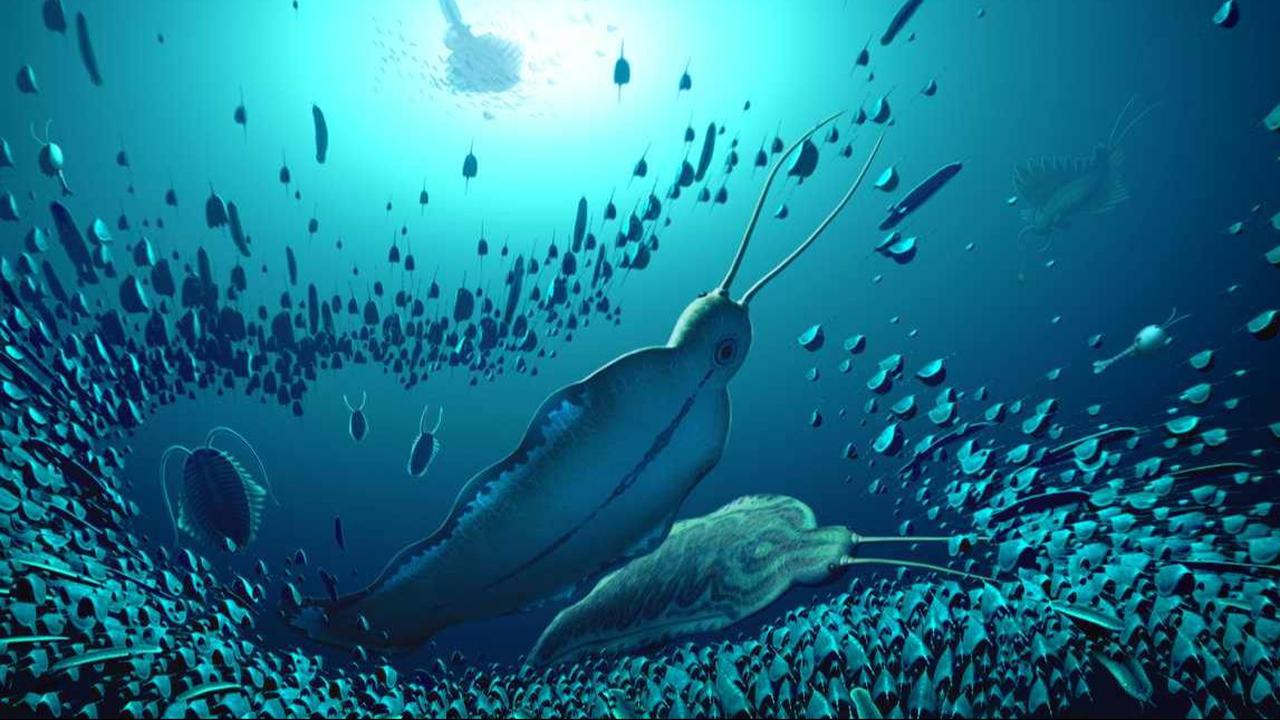 1. Cacing Raksasa yang Menduduki Puncak Rantai Makanan Laut Purba<br>