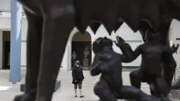 Seorang pengunjung dibingkai oleh patung perunggu skala besar Capitoline Wolf di Museum Capitoline Roma, Senin (26/4/2021). Italia kembali dibuka secara bertahap pada hari Senin setelah enam bulan memberlakukan lockdown untuk menghambat penyebaran corona Covid-19. (AP Photo/Gregorio Borgia)