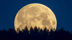 Bulan purnama terlihat di wilayah Taunus, Frankfurt, Jerman, Kamis (7/5/2020). Fenomena supermoon atau di belahan Bumi lain disebut flower moon ini merupakan yang terakhir di tahun 2020. (AP Photo/Michael Probst)