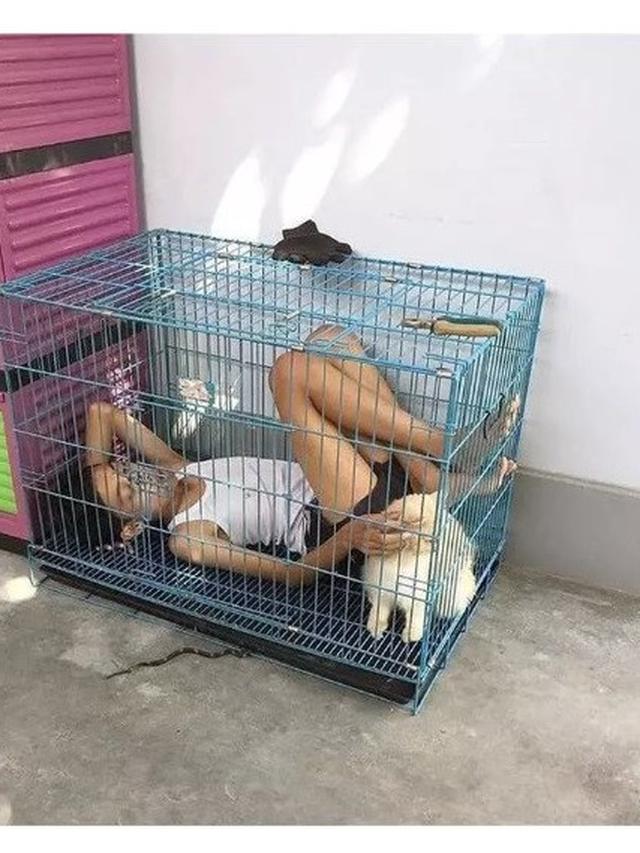 Kelakuan Kocak Orang Saat di Kandang Hewan Ini Bikin Tepuk Jidat