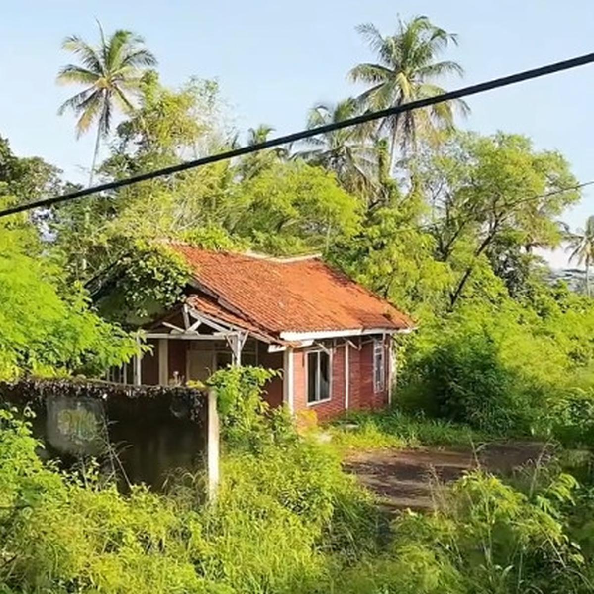 Pria Ini Temukan Rumah Terbengkalai di Tepi Jalanan, Penampakannya Bikin Ngeri