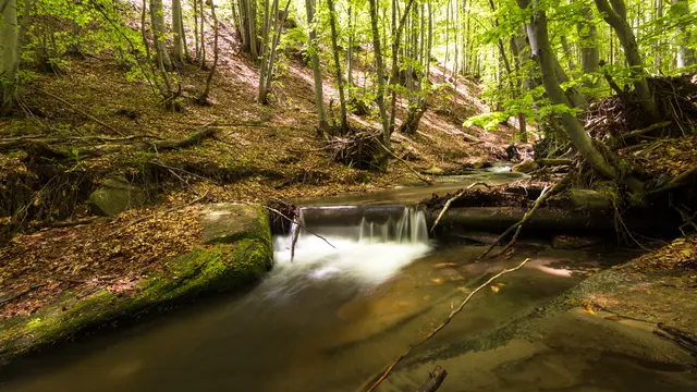 Arti Mimpi Melihat Mata Air yang Bermakna Baik