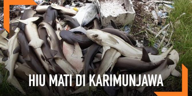VIDEO: Ratusan Hiu di Karimunjawa Mati Misterius
