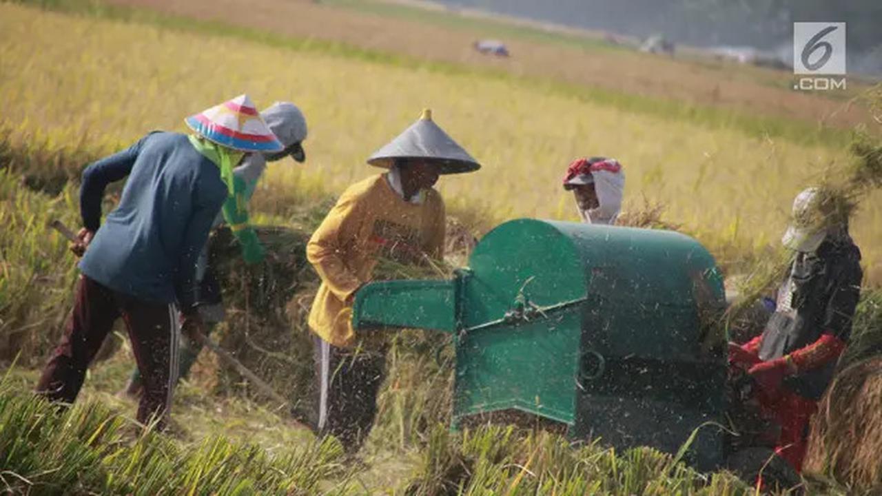 Waskita Karya Raih Kontrak Proyek Irigasi Rp 318,54 Miliar di Sumsel