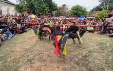 Mengenal Jaranan Dor, Simbol Kekayaan Budaya Lokal Khas Jombang Jawa Timur
