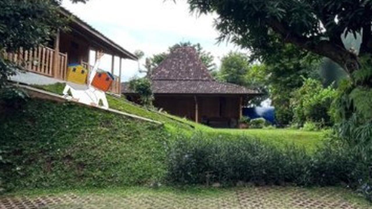 Bangunan Sejak Tahun 1700-an yang Hijau Banget, Berikut Potret Rumah Anies Baswedan Ala Joglo dan Nggak Ada Pagar