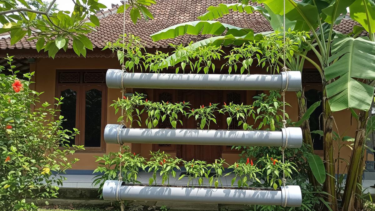 7 Model Rak Cabai Gantung dari Barang Bekas, Kreatif dan Hemat