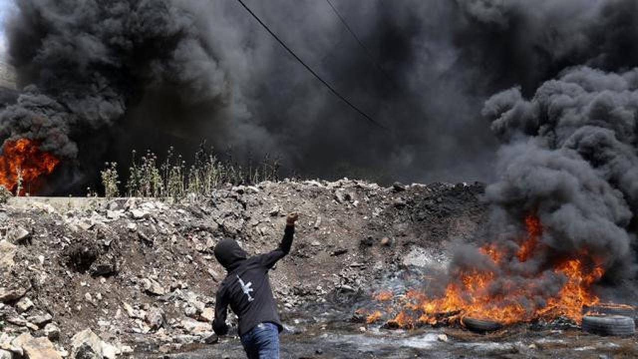 Pemukim Yahudi di Israel Bakar Lahan Pertanian Milik Warga Palestina di Tepi Barat