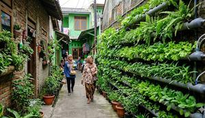 Ide hidroponik sayur mini di rak vertikal lorong gang. [Foto: Gemini]