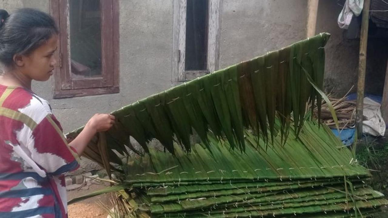 Perajin Atap Rumbia Lebak Kewalahan Penuhi Permintaan Tinggi Akibat Kelangkaan Bahan Baku