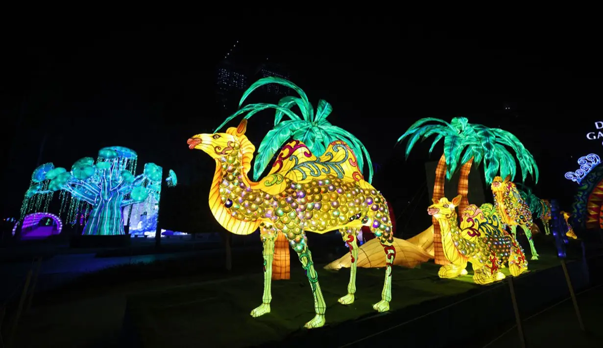 Instalasi lampu karakter unta di Dubai Garden Glow, Dubai, Uni Emirat Arab, 1 November 2021. Instalasi tersebut dibuat dari lebih satu juta bohlam penghemat energi dan kain bercahaya daur ulang karya seniman seluruh dunia. (GIUSEPPE CACACE/AFP)