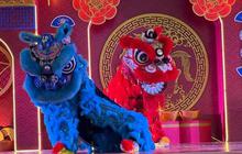Makna Barongsai di Indonesia: Tak Hanya Sebuah Tarian, Tapi Simbol Persatuan di Tengah Keragaman
