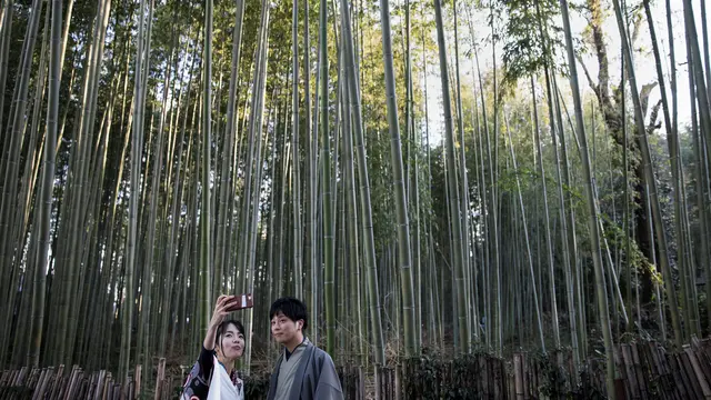 Hutan Bambu Sagano di Jepang