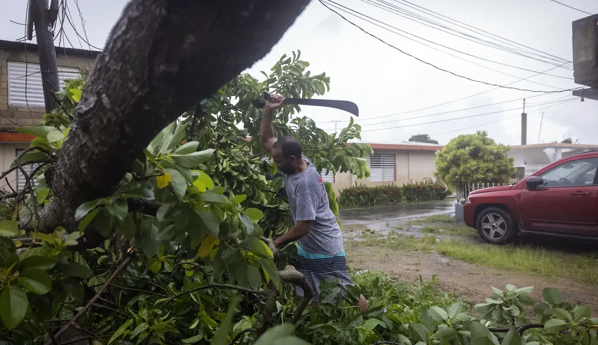 Seorang pria menggunakan parang untuk menebang pohon yang tumbang akibat angin topan Fiona di Loiza, Puerto Rico, Senin, 19 September 2022. (AP Photo/Alejandro Granadillo)