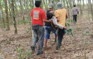 Kepala Desa (Kades) Braja Asri, Kecamatan Way Jepara, Kabupaten Lampung Timur, atas nama Darusman, tewas diserang gajah liar saat ikut menghalau kawanan satwa yang hendak masuk ke permukiman dan perkebunan warga. (Foto: Istimewa)
