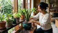 10 Cara Mempercantik Ruangan dengan Tanaman, Bikin Rumah Lebih Asri dan Tidak Membosankan
