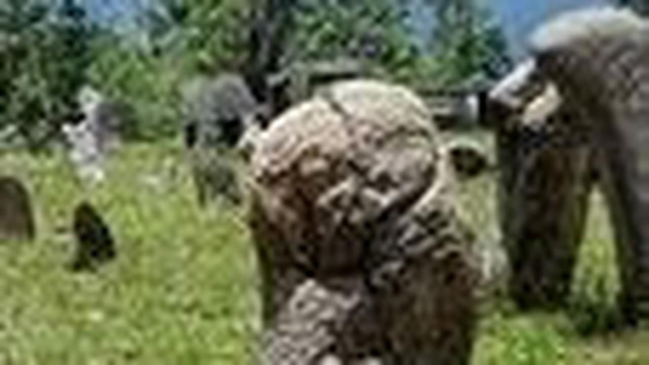 <b>1. Nagari Seribu Menhir</b>
