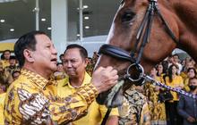 FOTO: Kehadiran Kuda Cokelat Mengejutkan Prabowo saat Mengunjungi Markas Golkar