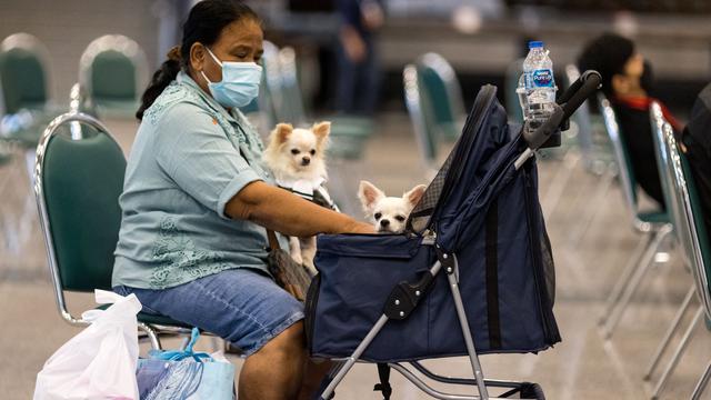 Melihat Hewan-Hewan Peliharaan Lucu di Pet Expo Thailand 2021