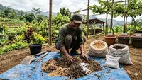 5 Media Tanam yang Cocok untuk Tanaman Anggur, Langkah Penting agar Cepat Berbuah dan Tak Busuk Akar