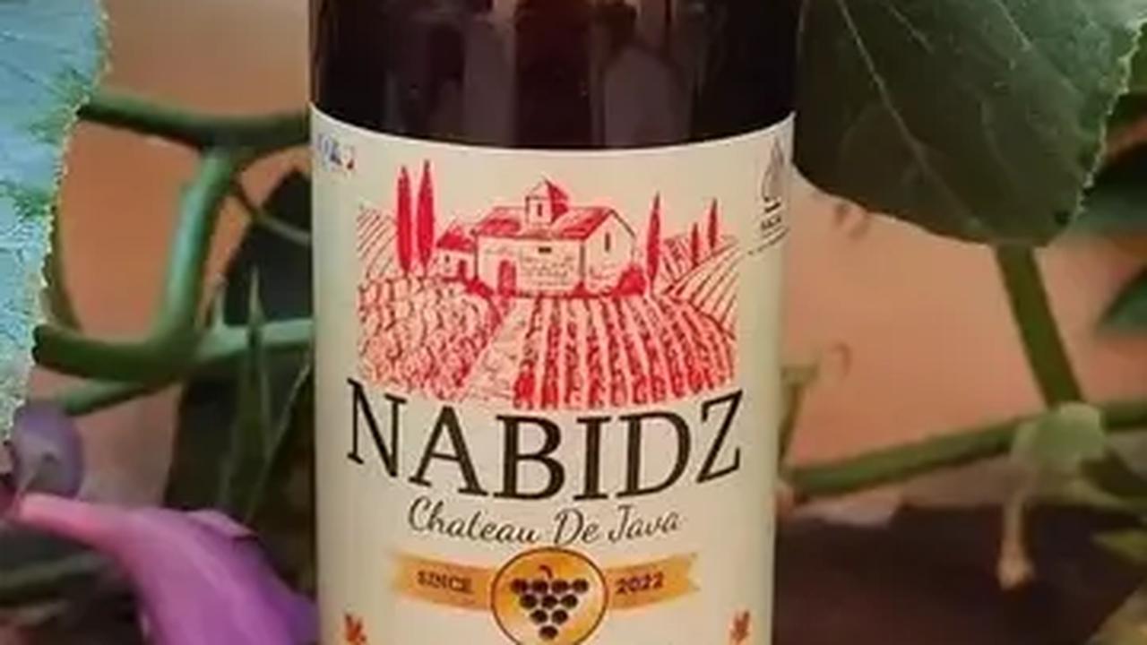 Viral Produk Wine Halal, Kemenag: Izinnya untuk Jus Buah